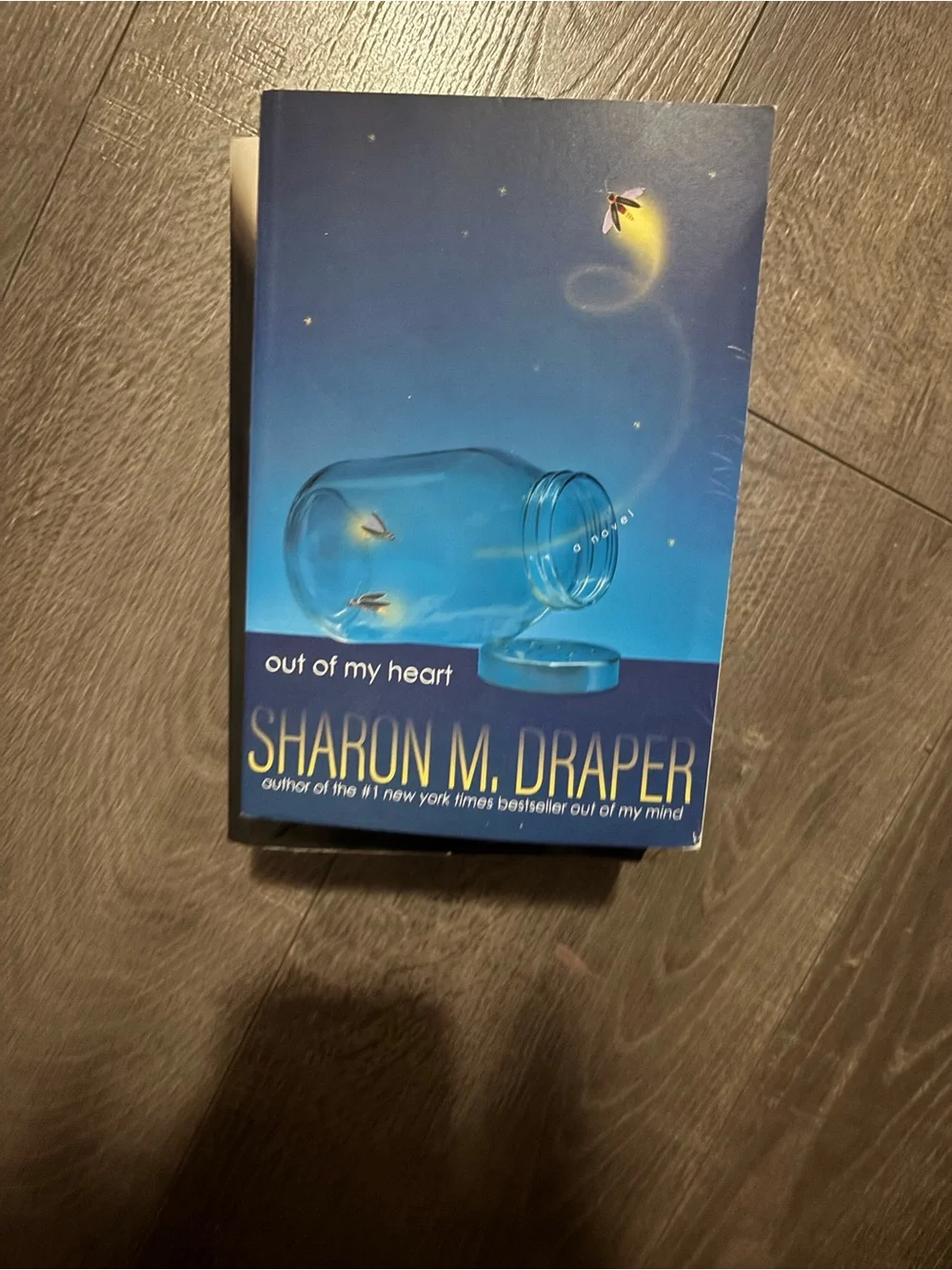 Decorative Book Cover with Red Apple Artwork